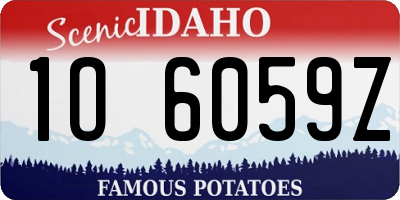 ID license plate 1O6059Z