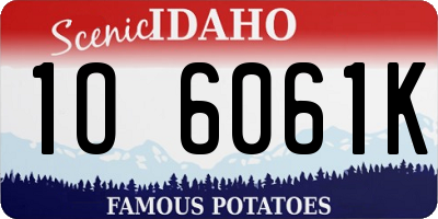 ID license plate 1O6061K