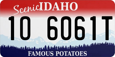 ID license plate 1O6061T
