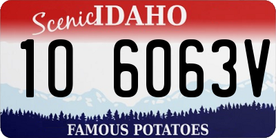 ID license plate 1O6063V