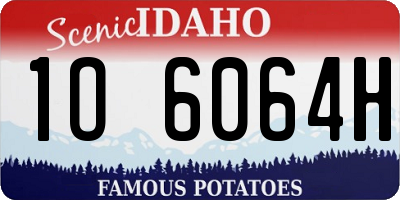 ID license plate 1O6064H