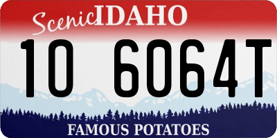 ID license plate 1O6064T