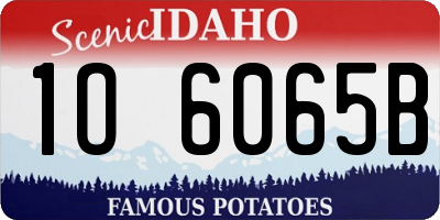 ID license plate 1O6065B