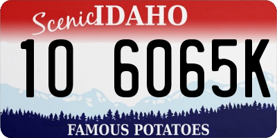 ID license plate 1O6065K