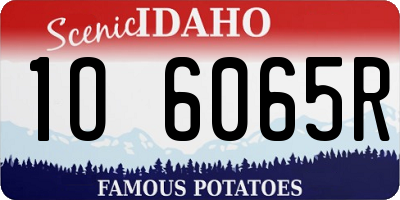 ID license plate 1O6065R