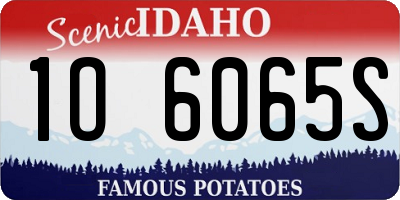 ID license plate 1O6065S