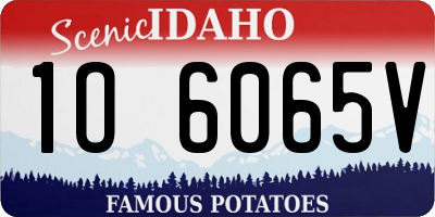 ID license plate 1O6065V