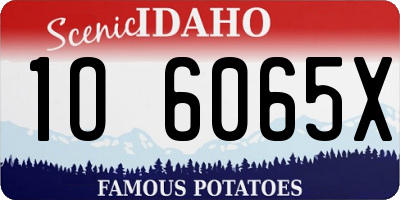 ID license plate 1O6065X