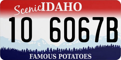 ID license plate 1O6067B