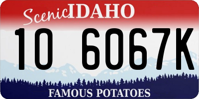 ID license plate 1O6067K