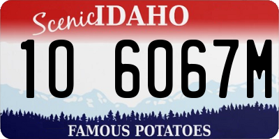 ID license plate 1O6067M