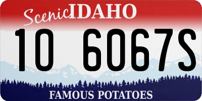 ID license plate 1O6067S