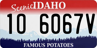 ID license plate 1O6067V
