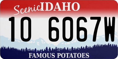 ID license plate 1O6067W