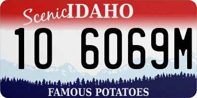 ID license plate 1O6069M