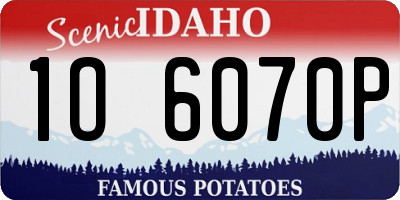 ID license plate 1O6070P