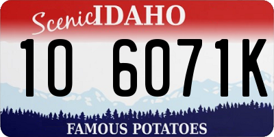 ID license plate 1O6071K