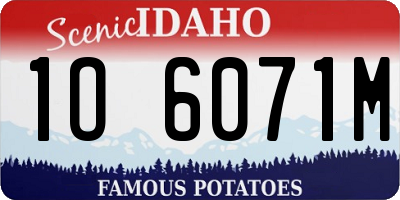 ID license plate 1O6071M