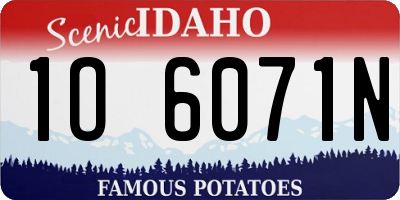ID license plate 1O6071N