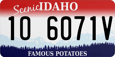 ID license plate 1O6071V