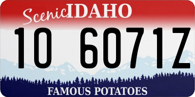 ID license plate 1O6071Z
