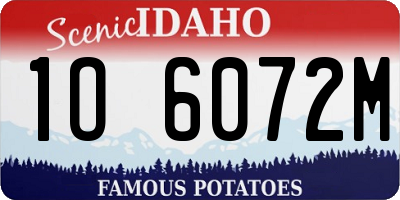 ID license plate 1O6072M