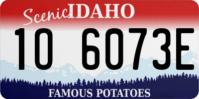 ID license plate 1O6073E