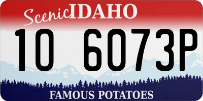 ID license plate 1O6073P