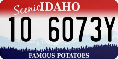 ID license plate 1O6073Y