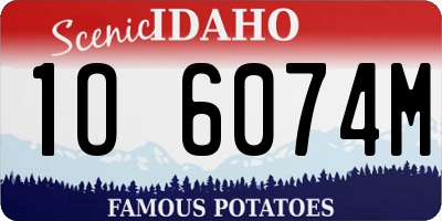 ID license plate 1O6074M