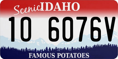 ID license plate 1O6076V