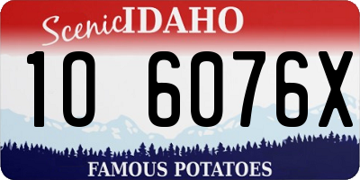 ID license plate 1O6076X