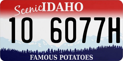 ID license plate 1O6077H