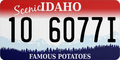 ID license plate 1O6077I