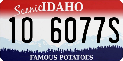 ID license plate 1O6077S