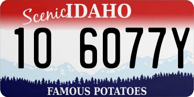ID license plate 1O6077Y