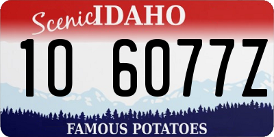 ID license plate 1O6077Z