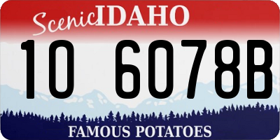 ID license plate 1O6078B