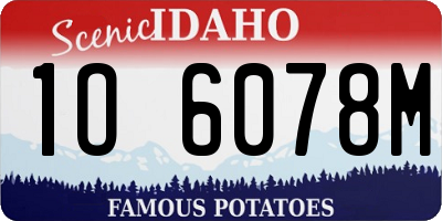 ID license plate 1O6078M