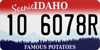 ID license plate 1O6078R