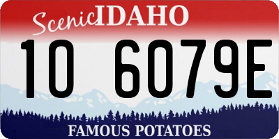 ID license plate 1O6079E
