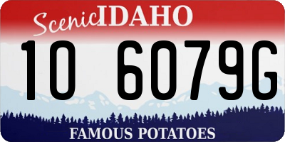 ID license plate 1O6079G