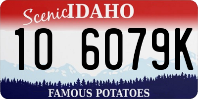 ID license plate 1O6079K