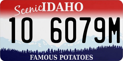 ID license plate 1O6079M