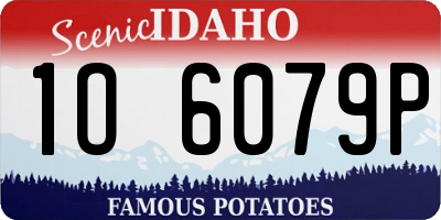ID license plate 1O6079P