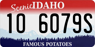 ID license plate 1O6079S