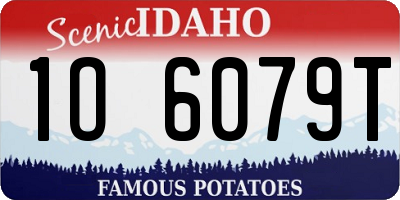 ID license plate 1O6079T