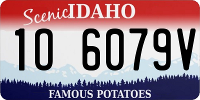 ID license plate 1O6079V