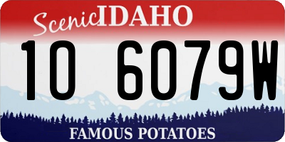 ID license plate 1O6079W