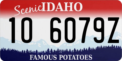 ID license plate 1O6079Z